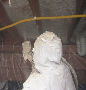 Nova Scotia  crawl space insulation
